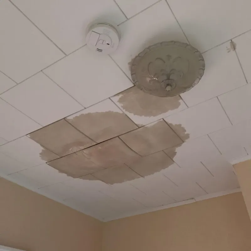 Ceiling Water Damage Repair in Dedham, ME