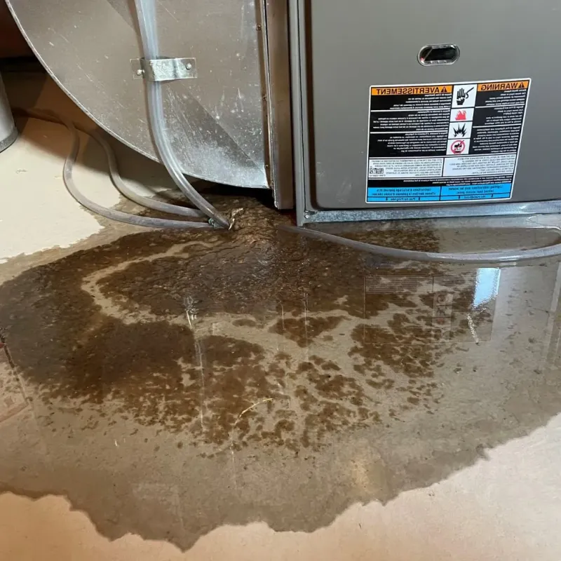 Pipe Burst and Leak Restoration in Dedham, ME